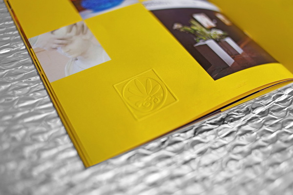產(chǎn)品畫冊設(shè)計(jì)幫助您的企業(yè)走向巔峰！